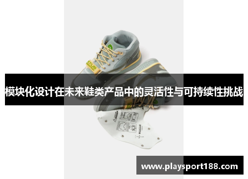 模块化设计在未来鞋类产品中的灵活性与可持续性挑战